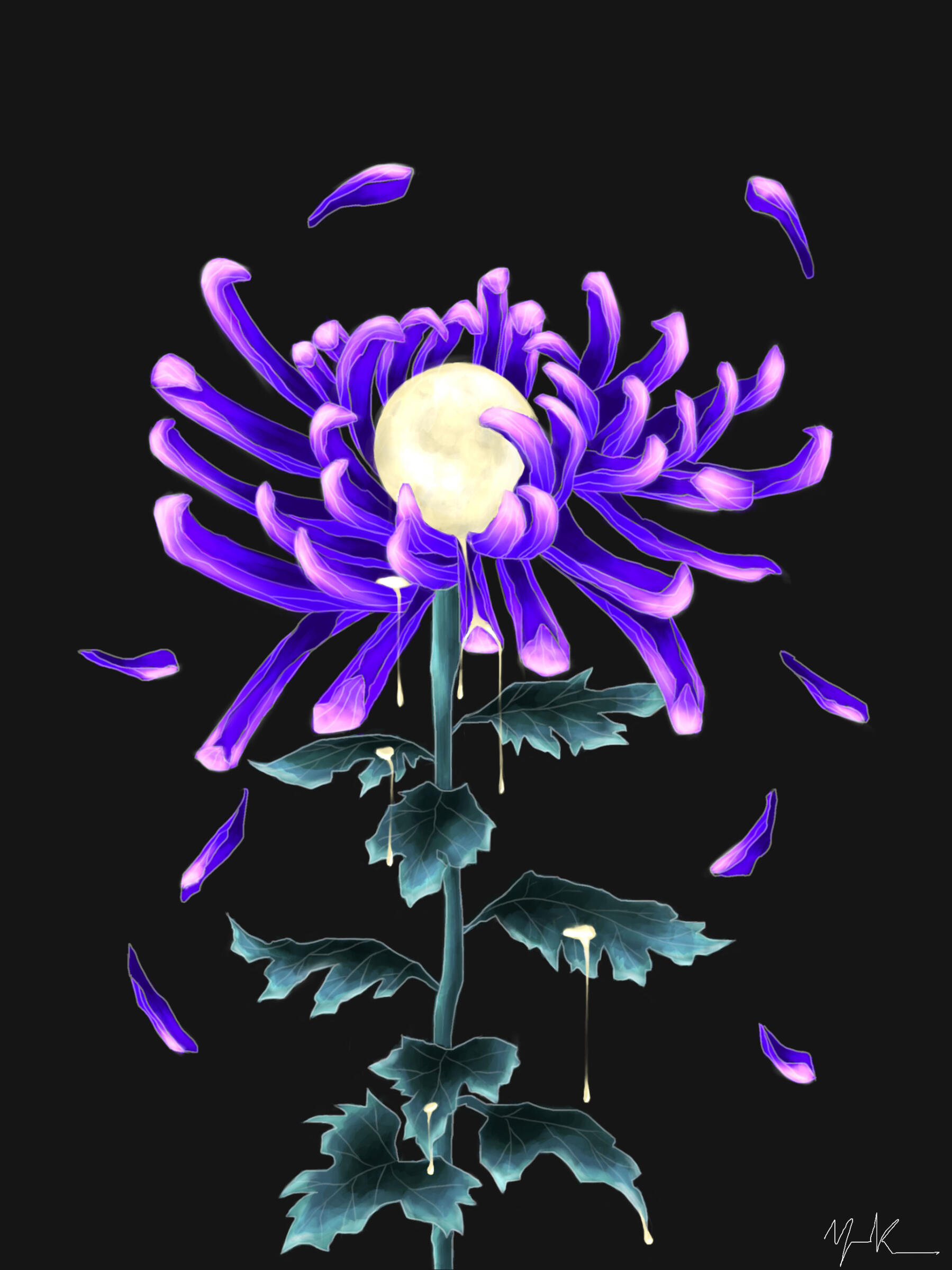 Nocturnal