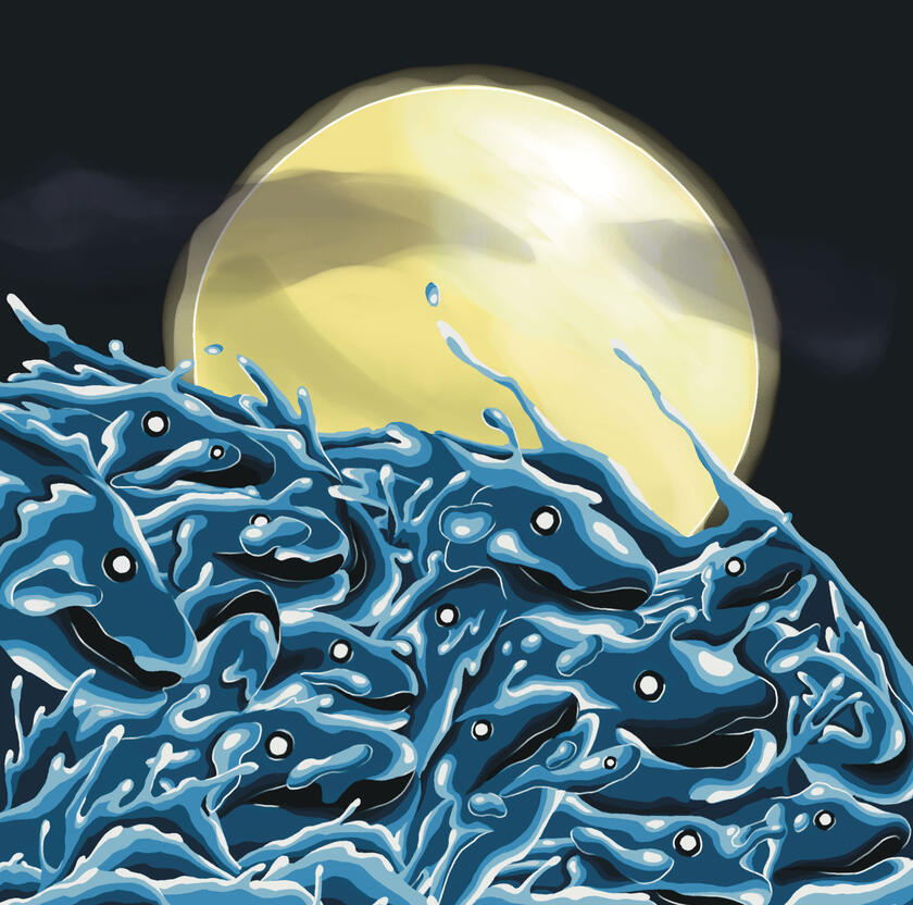 tsunami wave tsunami wave
