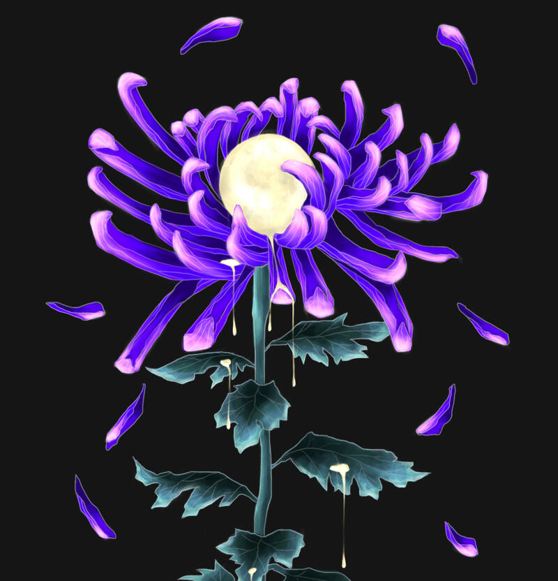 Nocturnal Nocturnal